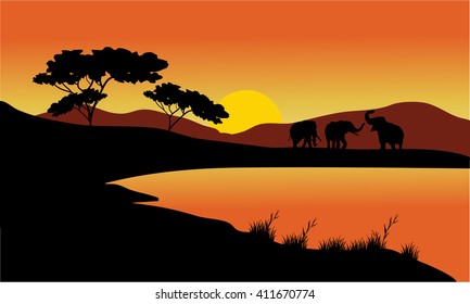 Landscape elephant of silhouette at the sunset
