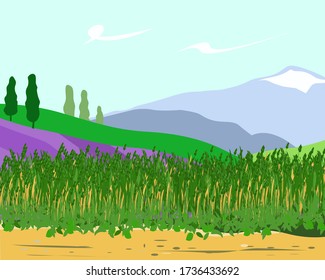 Landscape with field grass and mountains in the background with and road