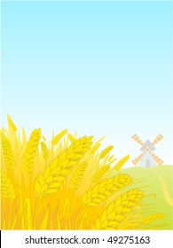 Landscape with a field of a rye and a windmill.