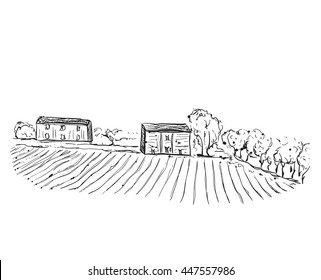 Landscape with Fields and Houses. Hand drawn Vector Illustration