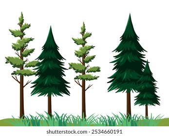 Landscape with fir trees and pines growing on a grassy lawn. Vector