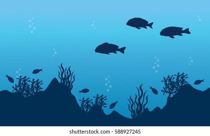 Landscape of fish and reef