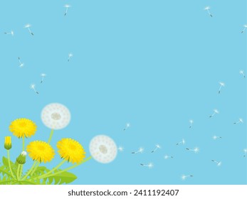 Paisaje de los flúfitos dandelis bailarines y fondo del marco azul del cielo
