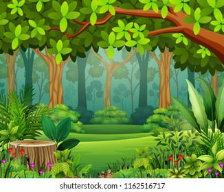 678,253 Sunshine forest Images, Stock Photos & Vectors | Shutterstock