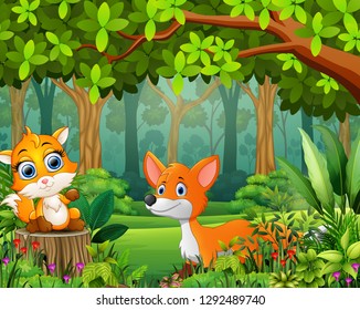 Landscape forest cartoon of green in spring with two fox