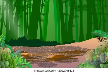 landscape of forest in the day time