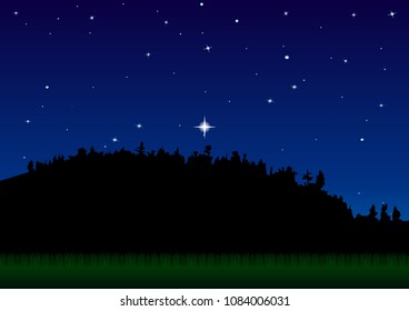 landscape, forest, meadow, starry sky, night, green grass. Vector Illustration