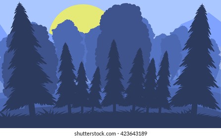 Landscape forest night