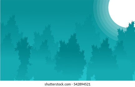 Landscape of forest at night backgrounds