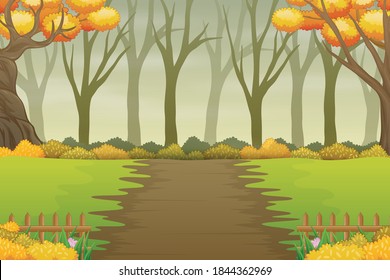 Paisaje del camino forestal en otoño con árboles desnudos y amarillos