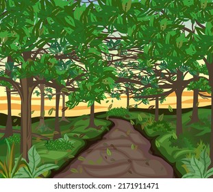 Landscape of Forest Scenery with Small Road. Cartoon Nature with Forest in the dusk Vector Illustration