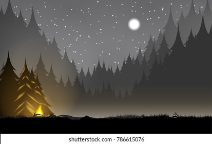 Landscape of the forest in a starry night with a fire