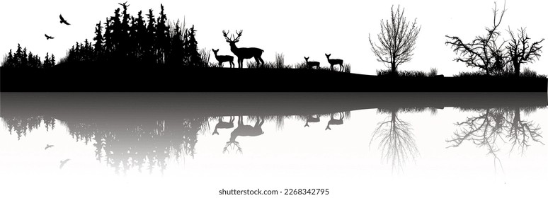 Landscape: forest and trees with deer, roe deer and meadow