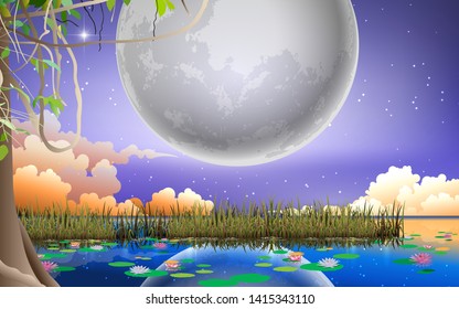 landscape of full moon at the swamp in the night