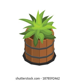 Landscape garden plant in pot design isometric vector illustration