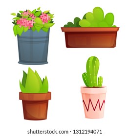 Landscape garden potted plants with pink flowers and cactus. Vector cartoon illustration