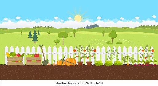 landscape gardening planting growing vegetables flat design