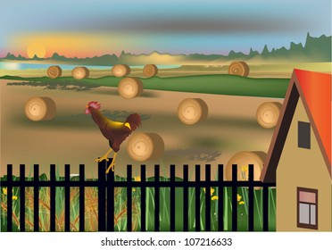 landscape with gold wheat harvest