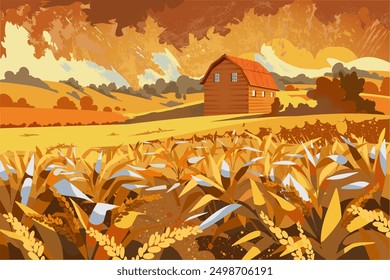A landscape with a golden field of wheat ears with a barn in the background. Autumn landscape with beautiful clouds and sunset.