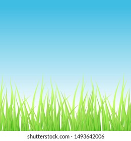 Landscape with grass and sky. Place for text. Vector illustration