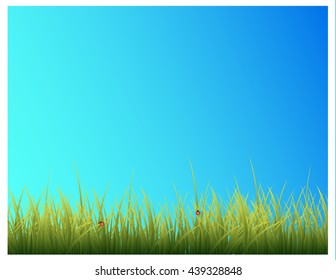 Landscape With Grass, Vector Illustration