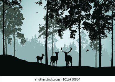 Landscape with green forest, deer and flying birds - vector