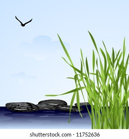landscape with green fresh grass and black stones