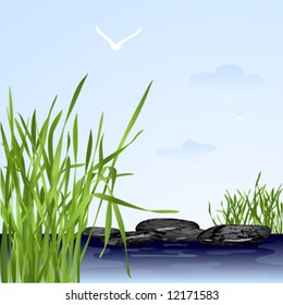landscape with green fresh grass and black stones