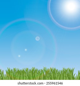 Landscape with green grass, blue sky and bright sun, vector illustration