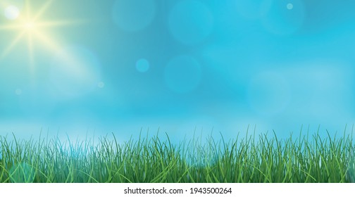 Landscape green grass on a background of blue sky bokeh - Vector illustration
