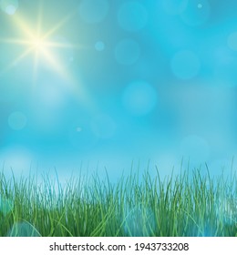 Landscape green grass on a background of blue sky bokeh - Vector illustration