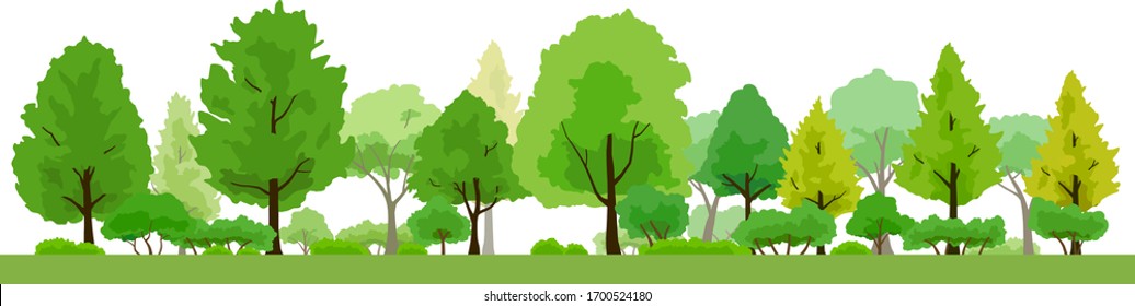 Landscape of Green lush trees, background illustration