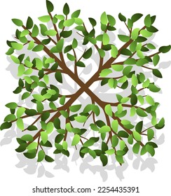 Landscape green plant element. Plan top view