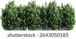 Landscape green shrubs cutout, row of plants, gardening design, nature eco friendly, garden greenery, botanical garden, plant landscape, outdoor decor, natural background
