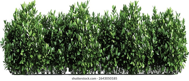 Landscape green shrubs cutout, row of plants, gardening design, nature eco friendly, garden greenery, botanical garden, plant landscape, outdoor decor, natural background