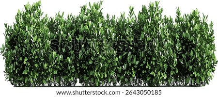 Landscape green shrubs cutout, row of plants, gardening design, nature eco friendly, garden greenery, botanical garden, plant landscape, outdoor decor, natural background
