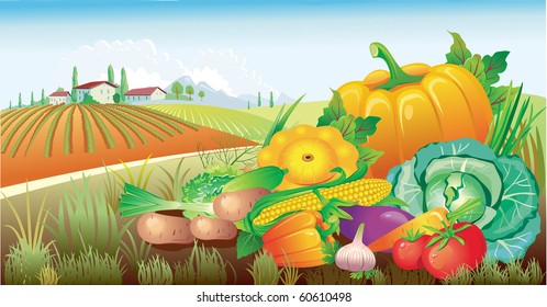 landscape with a group of vegetables