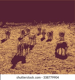 Landscape with a herd of sheep in the pasture. linocut style. vector illustration.