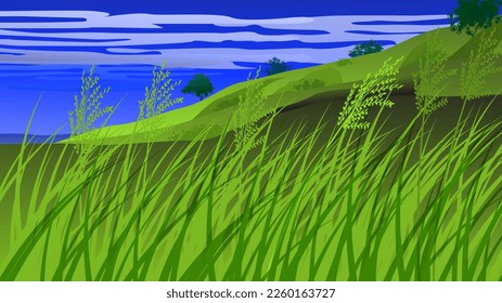 landscape of hill with trees and simple cloudy sky