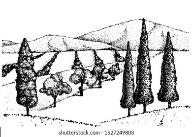 Landscape, landscape with hills, mountains, trees, cypresses, vineyards, olives. Vector hand illustration. Southern province, farm fields and meadows.