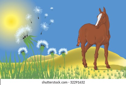 Landscape with a horse and dandelions - vector illustration