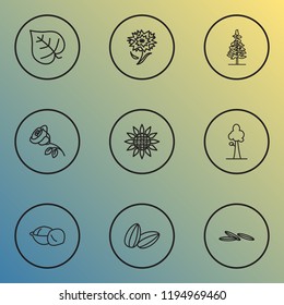 Landscape icons line style set with sunflower, rose flower, lilac leaf and other floral elements. Isolated vector illustration landscape icons.