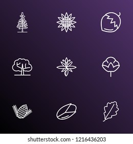 Landscape icons line style set with hazel nut, sunflower, larch tree and other ecology elements. Isolated vector illustration landscape icons.