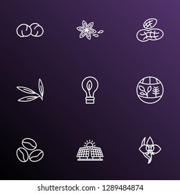 Landscape icons line style set with peanut, star anise, chickpeas and other hummus elements. Isolated vector illustration landscape icons.