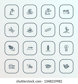 Landscape icons line style set with ash tree leaf, bamboo, fir and other vegetarian elements. Isolated vector illustration landscape icons.
