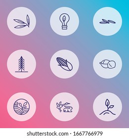 Iconos paisajísticos línea estilo conjunto con ecología agrícola, fauna, hoja de sauce y otros elementos vegetales. Iconos de paisaje de ilustraciones vectoriales aisladas.