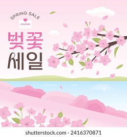 a landscape illustration with beautiful cherry blossoms (korean, written as Cherry Blossom Sale)