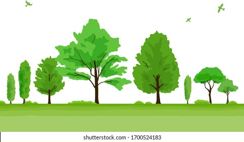 Landschaftsbild eines grünen Baumes mit fliegenden Vögeln