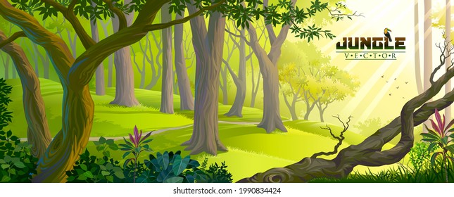 The landscape of a jungle on a bright sunny day.