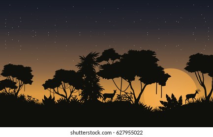 Landscape jungle rain forest silhouettes